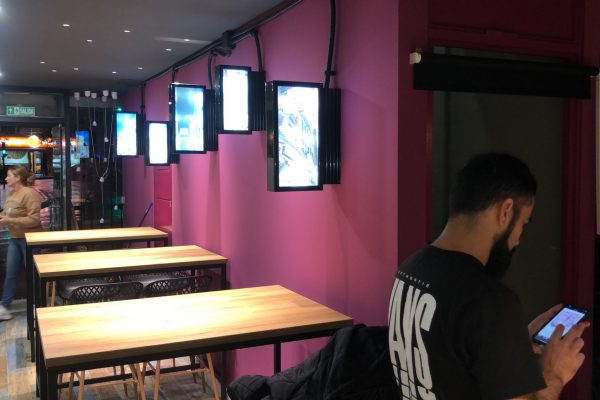 MAKITAKE (7) MAKITAKE (7)